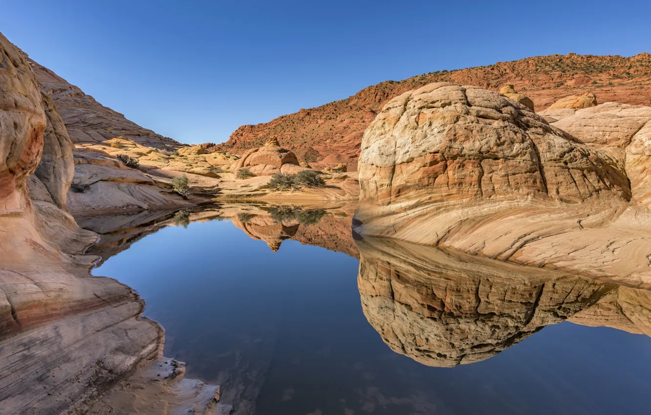 Photo wallpaper AZ, Arizona, Coyote Buttes North, The Slope Of Coyote Buttes