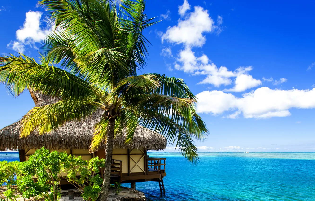 Photo wallpaper sand, sea, tropics, palm trees, shore, Bungalow, Bora-Bora, French Polynesia