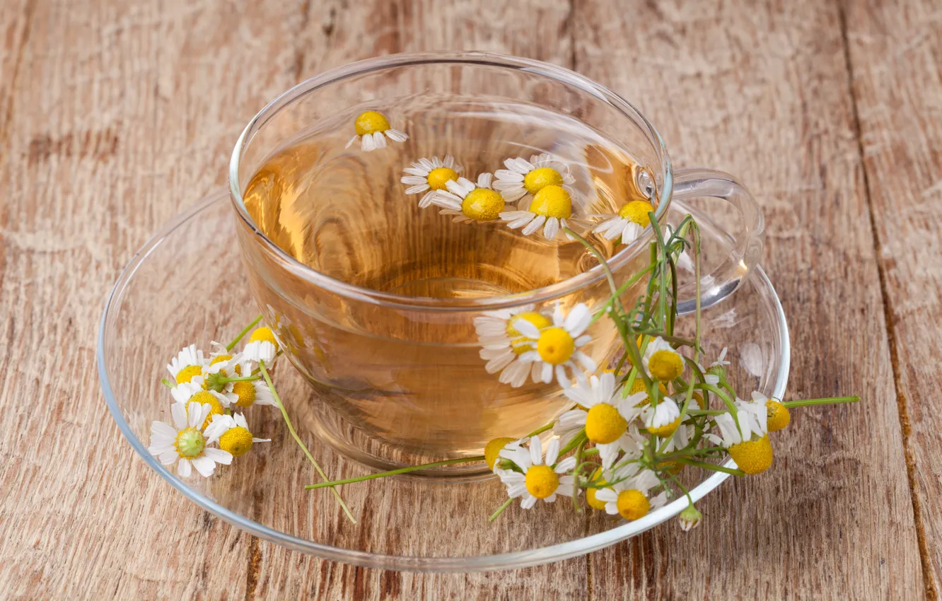 Photo wallpaper flowers, tea, chamomile, drink