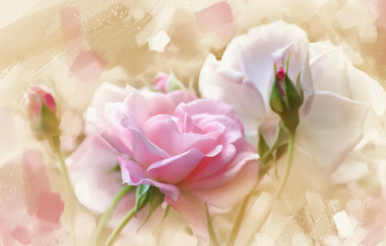 Photo wallpaper background, tenderness, rose