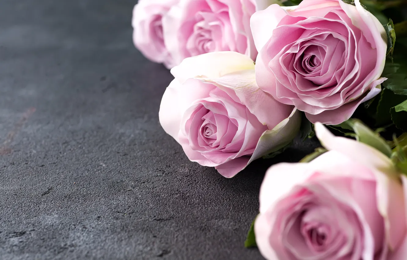 Photo wallpaper roses, bouquet, gentle, pink, beautiful, Myfoodie