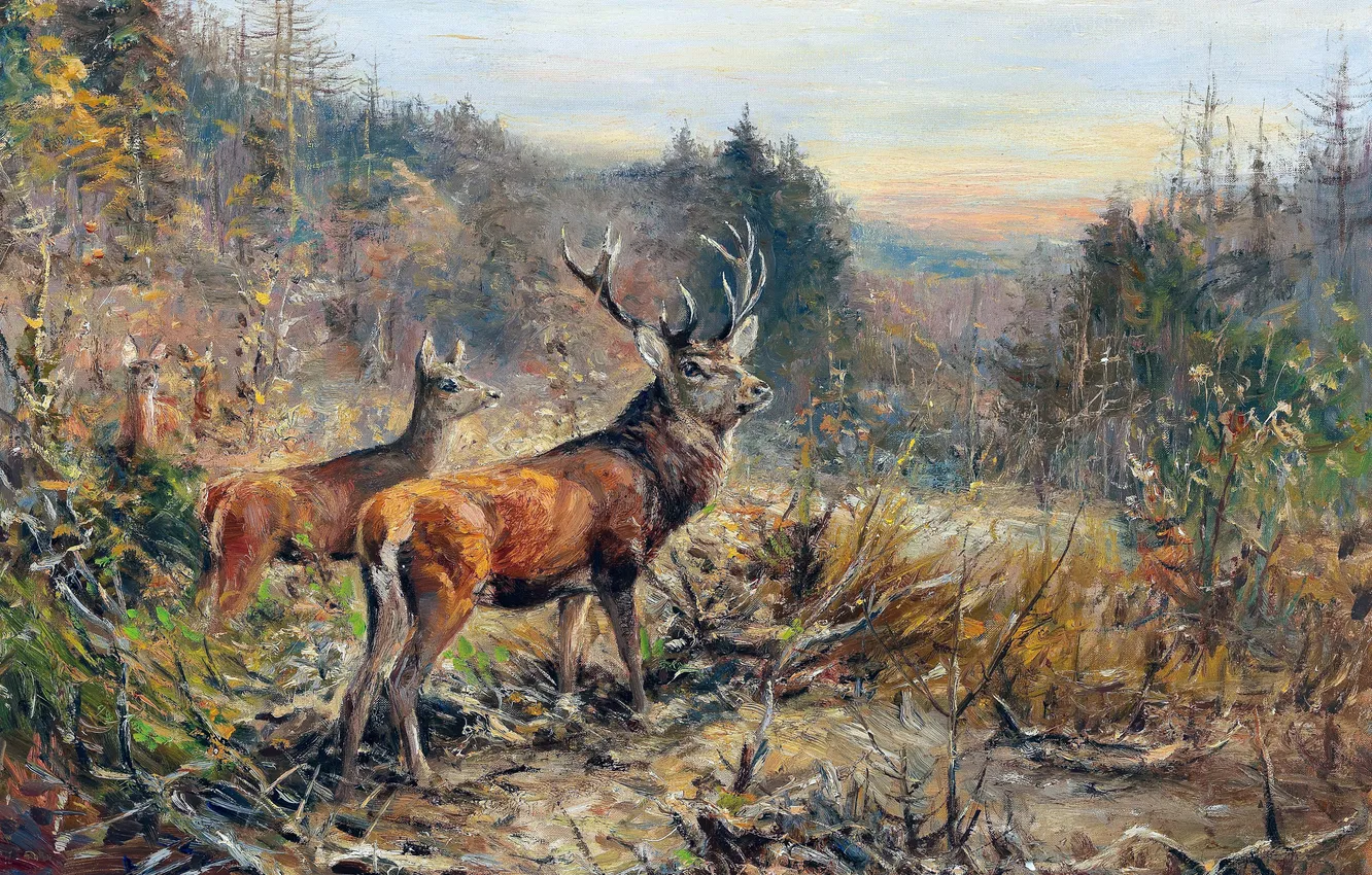 Photo wallpaper Sunset, Trees, Picture, Deer, German artist, Wilhelm Lorenz, Wilhelm Lorenz, A herd of red deer …