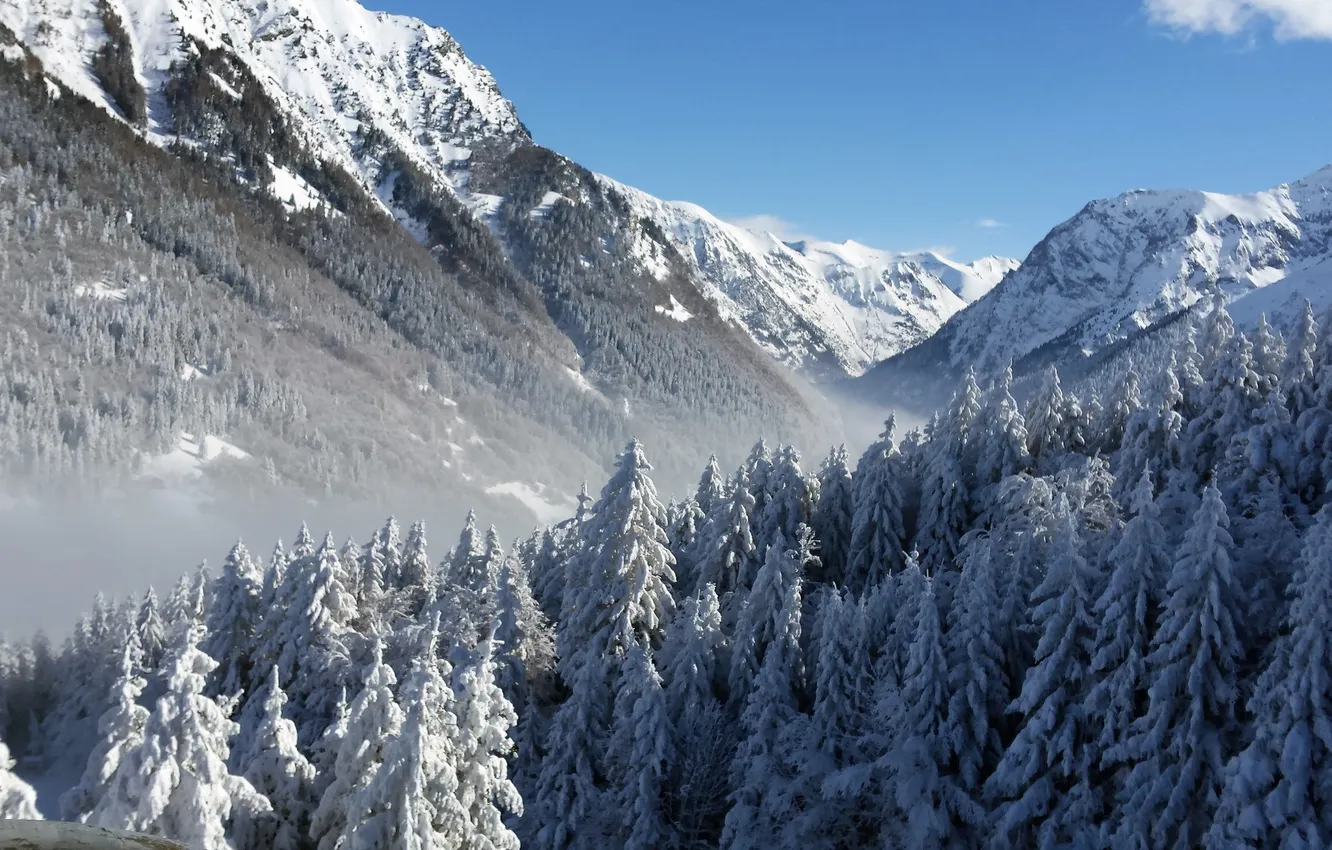 Photo wallpaper the sky, trees, mountains, nature