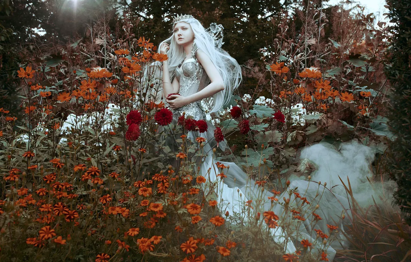 Photo wallpaper girl, flowers, style, mood, crown, dress, Diadema, Princess