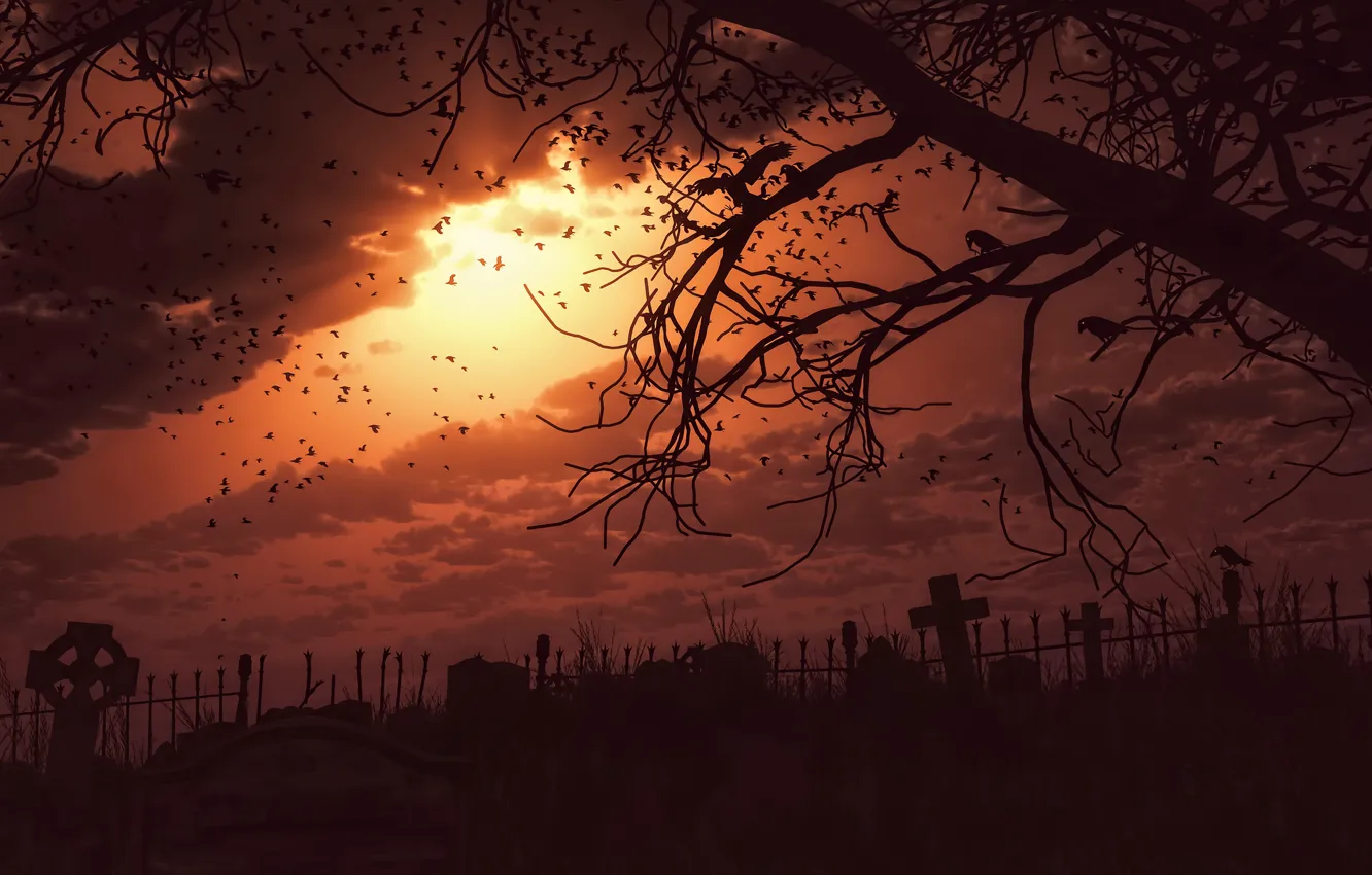 Photo wallpaper the sky, the sun, sunset, branches, tree, the darkness, dark, cemetery