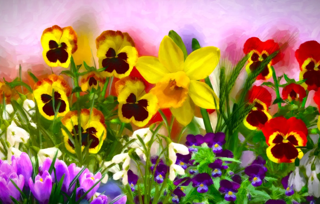 Photo wallpaper Flowers, Bratki, Crocuses, Narcissus