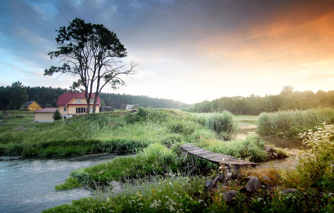 Photo wallpaper forest, bridge, fog, sunrise, home, morning, river
