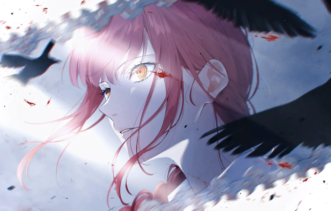 Photo wallpaper the sky, girl, light, bird, blood, Chainsaw Man, Makima