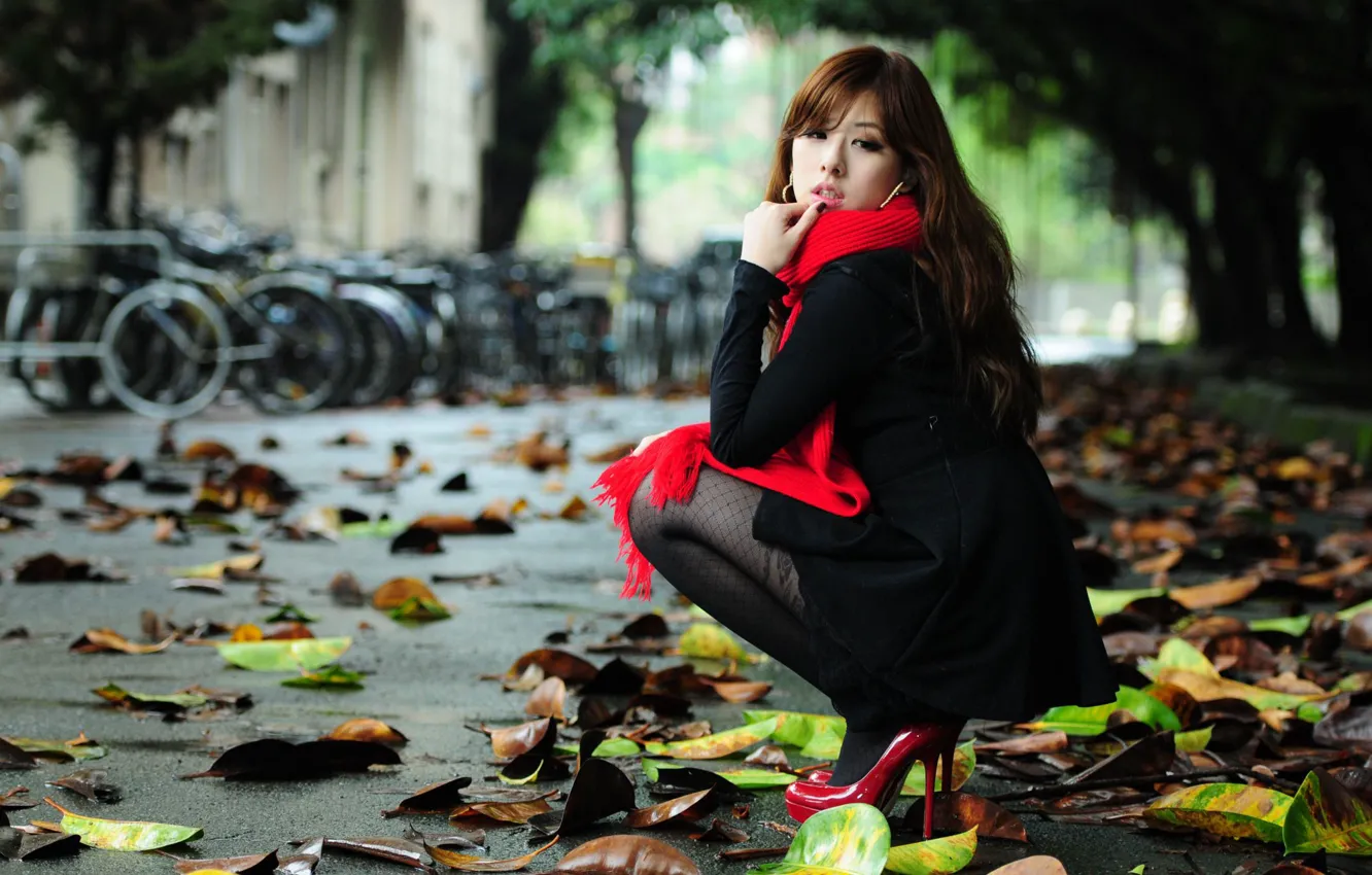 Photo wallpaper autumn, leaves, scarf, Asian, sitting