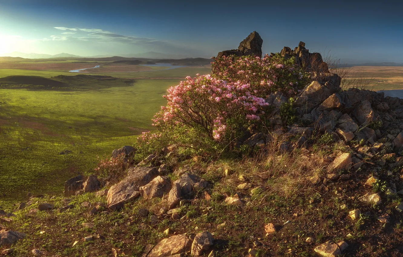 Photo wallpaper landscape, sunset, nature, stones, the bushes, Primorsky Krai