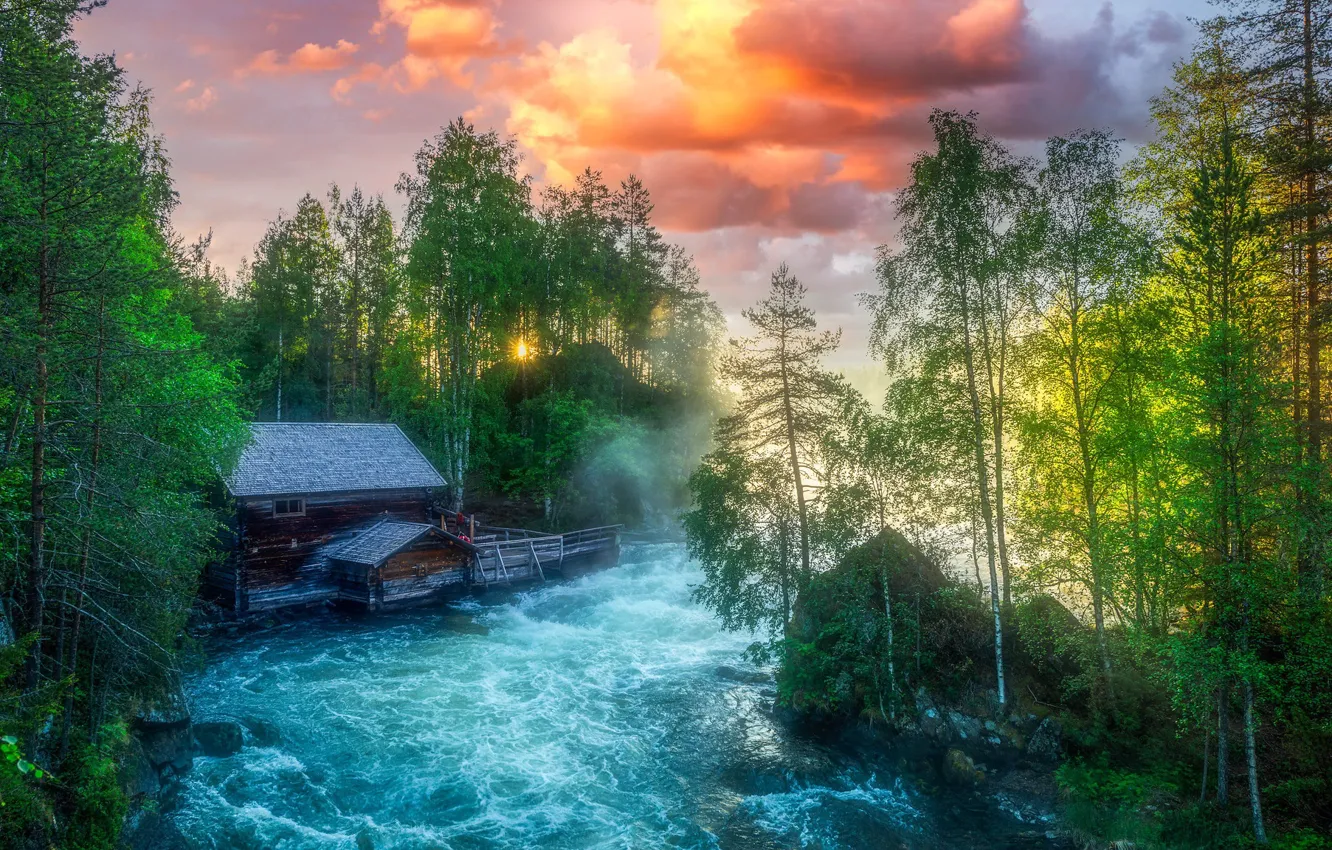 Photo wallpaper summer, nature, river