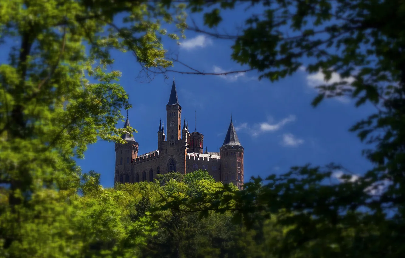 Photo wallpaper the sky, trees, branches, tower, Germany, Hohenzollern Castle