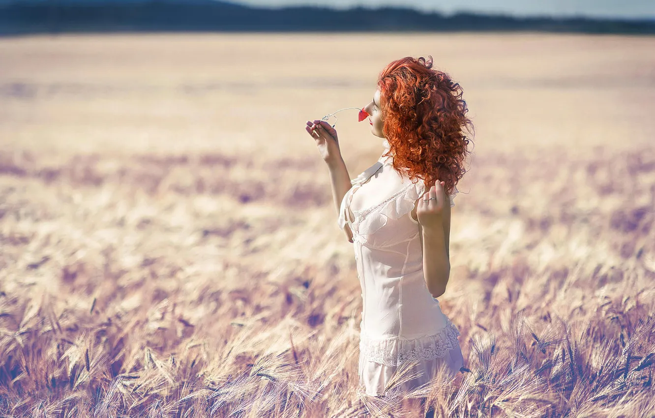 Photo wallpaper field, summer, the sun, flower, the red-haired girl
