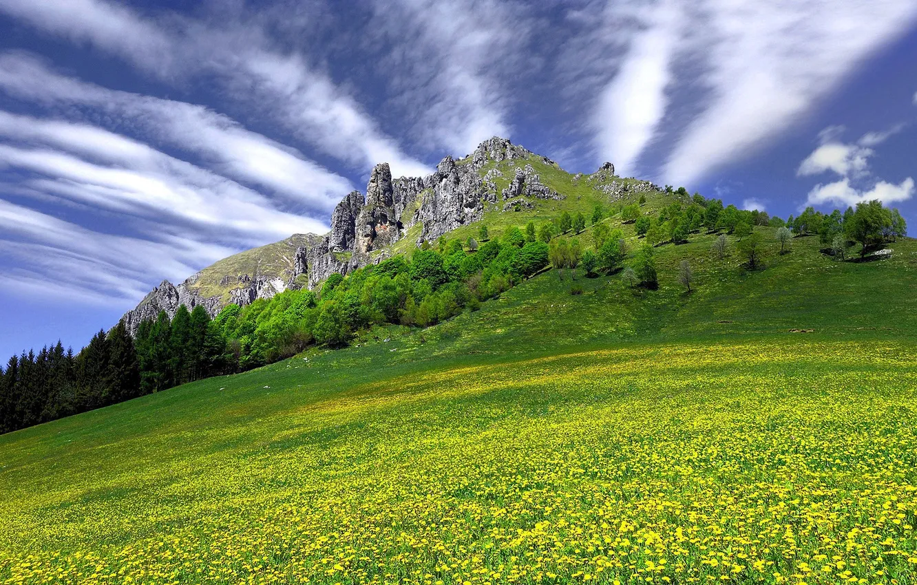Photo wallpaper the sky, grass, clouds, flowers, rock, mountain
