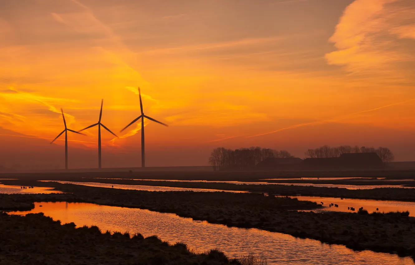 Photo wallpaper field, sunset, windmills