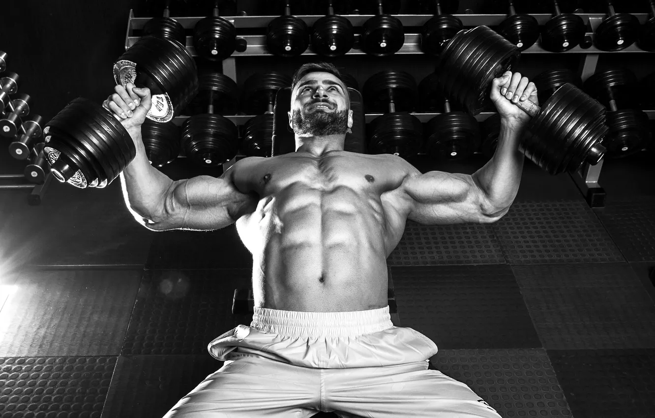 Photo wallpaper Muscle, hard, man, exercise, Sport, fitness, gym, strong