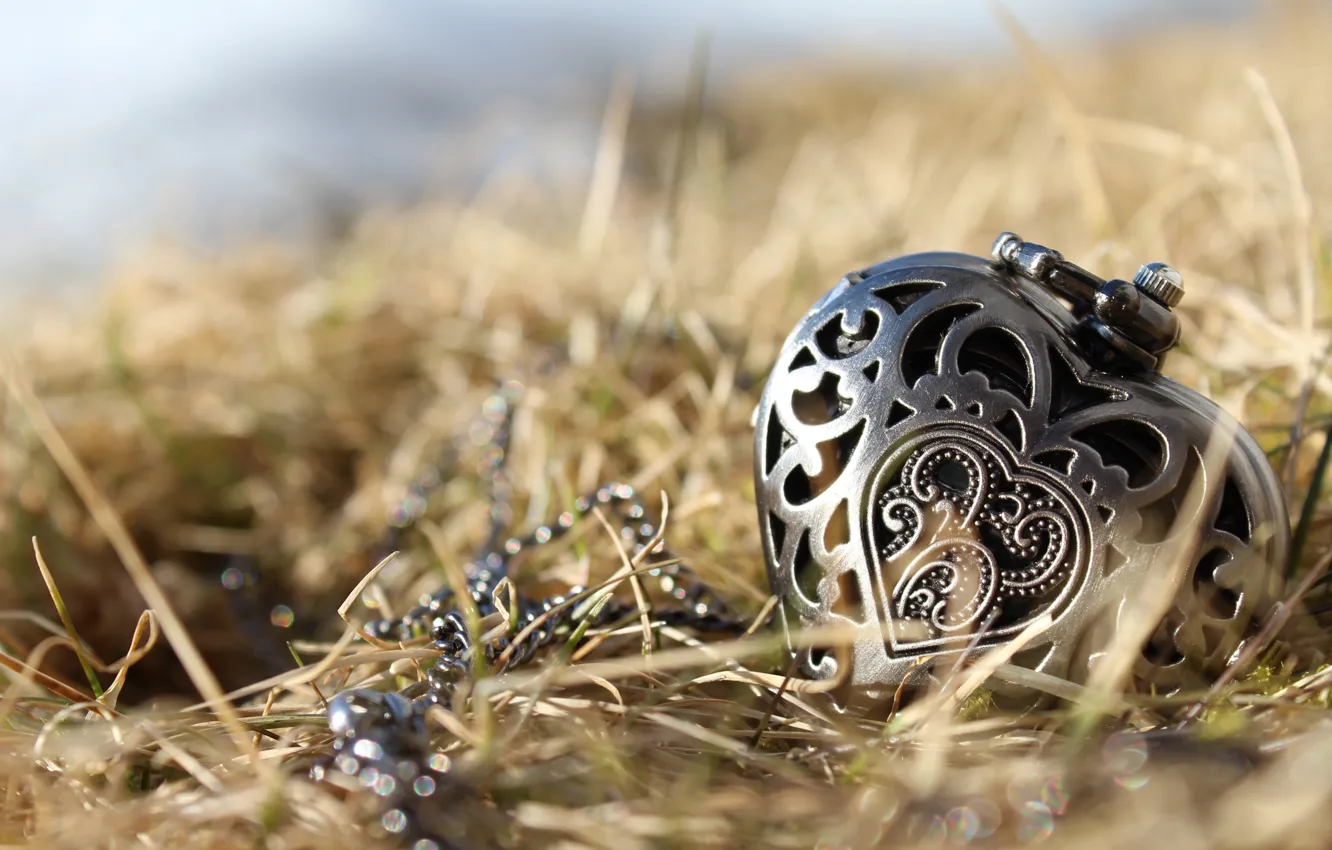 Photo wallpaper grass, heart, pendant, decoration, engraving