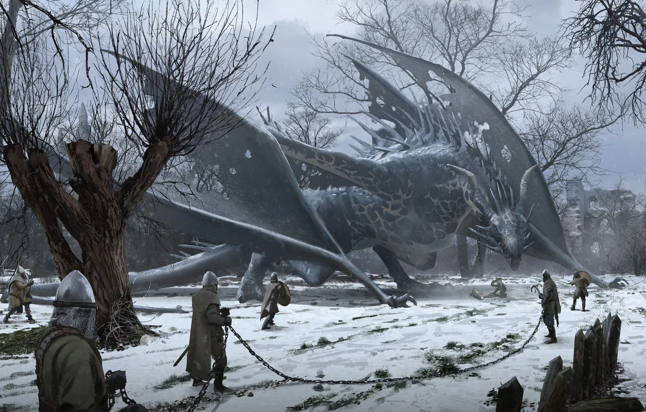Photo wallpaper dragon, warrior, dragon, Warriors, Jan Ditlev, Catching the Dragon, Catching a dragon, JAN DITLEV