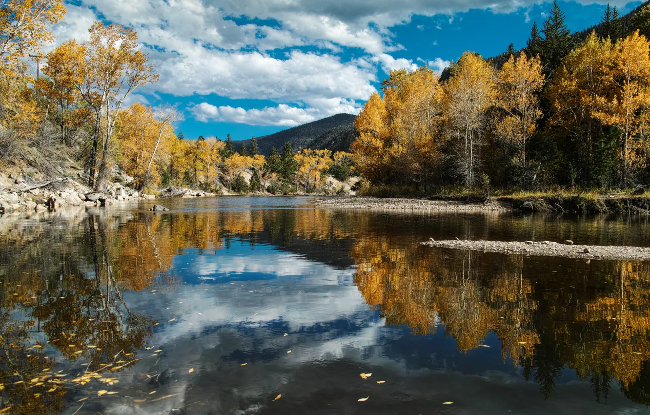 Photo wallpaper autumn, forest, the sky, clouds, nature, river