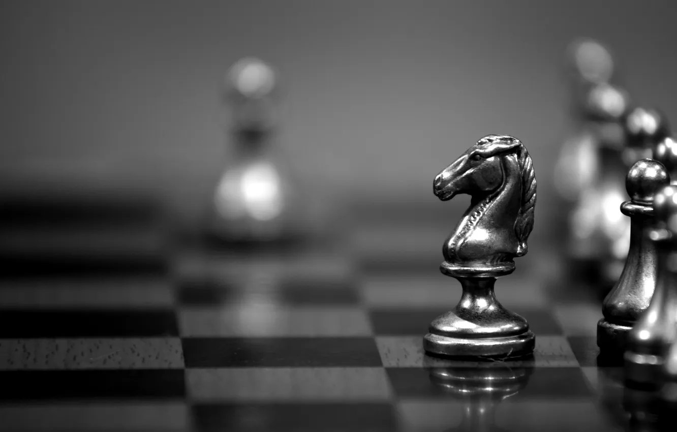 Photo wallpaper chess, knight, Strategy