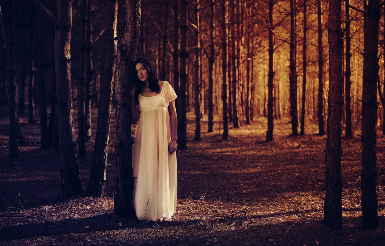 Photo wallpaper forest, girl, darkness, peace, shatenka
