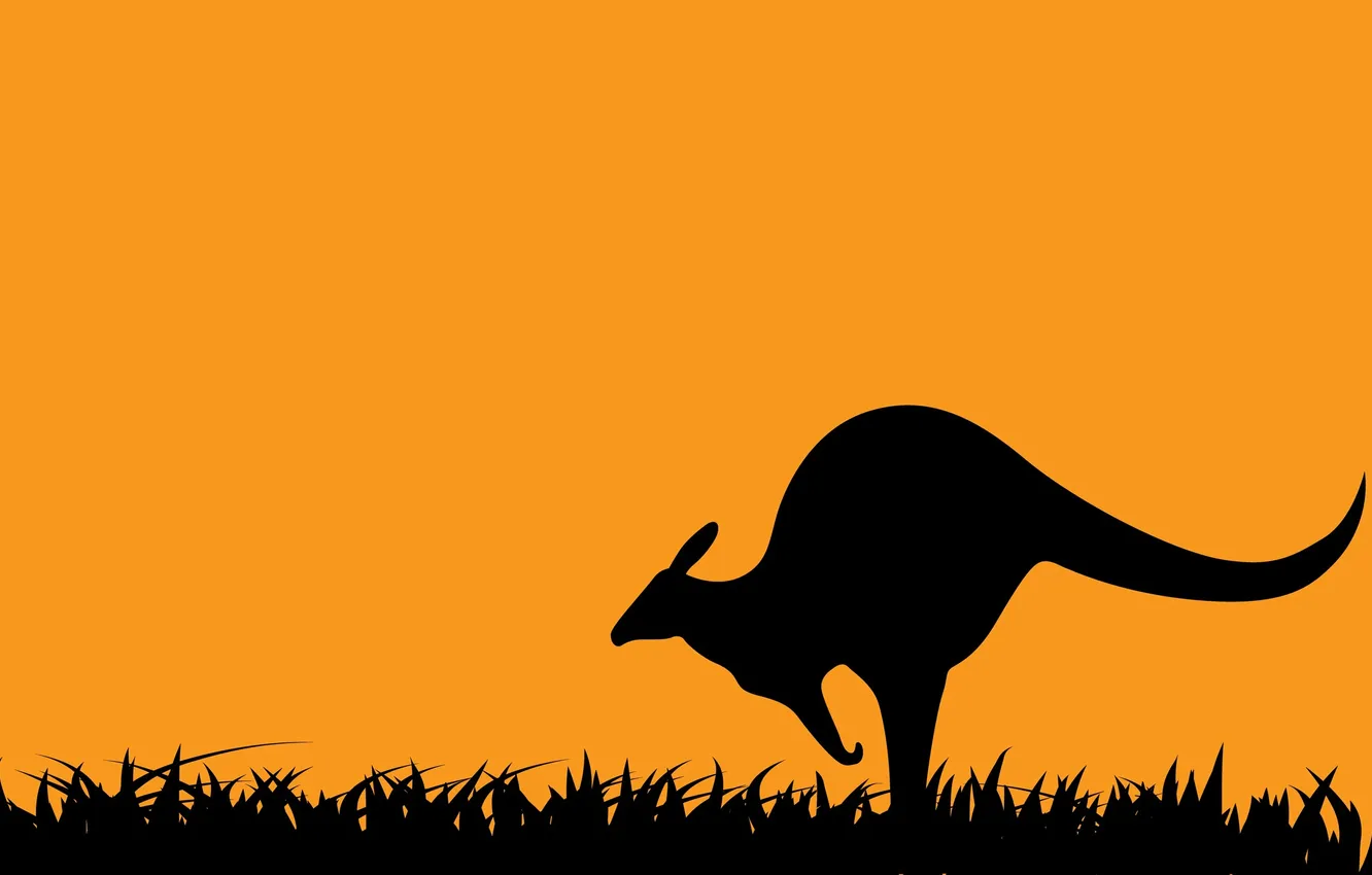 Photo wallpaper the sky, grass, abstraction, silhouette, kangaroo