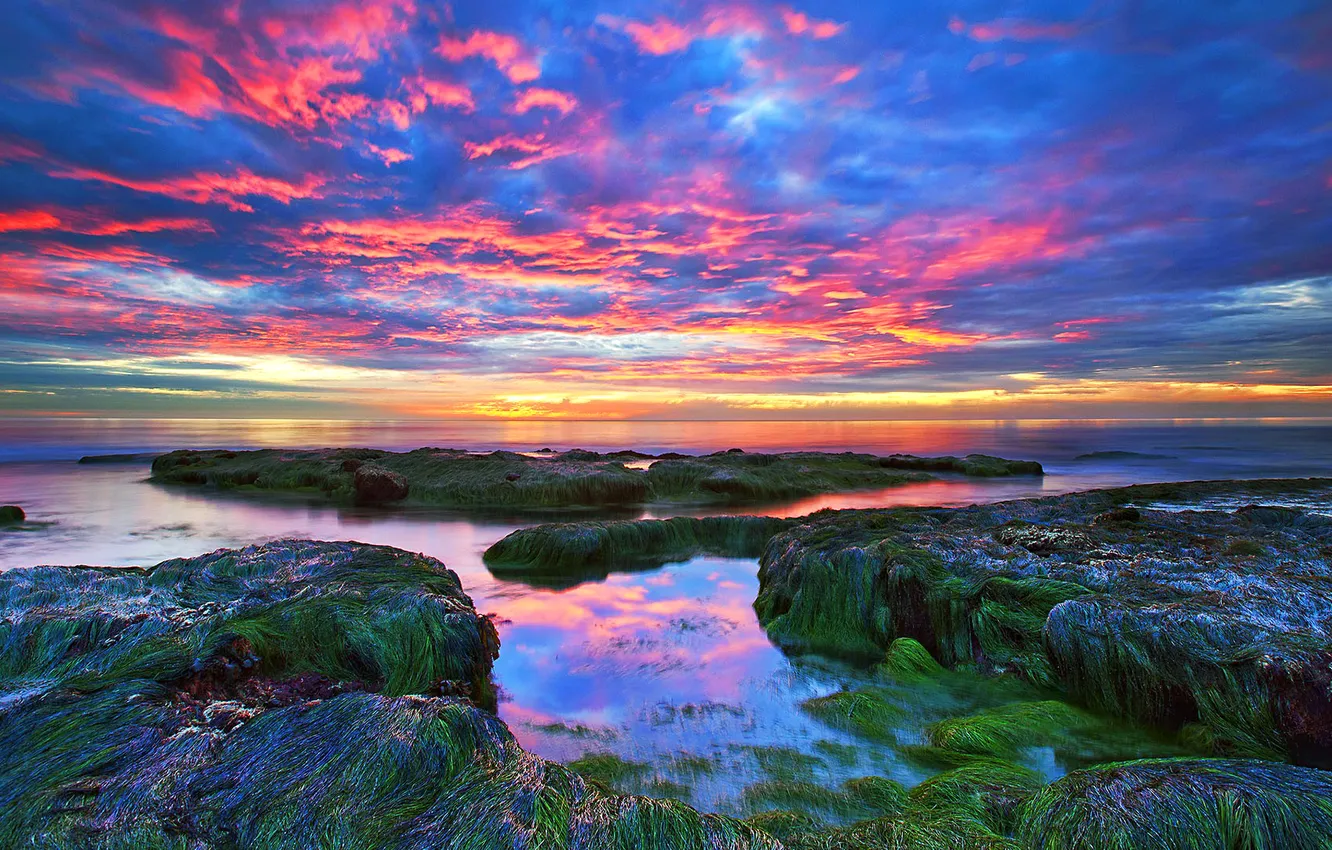 Photo wallpaper sea, the sky, clouds, algae, sunset, stones, rocks