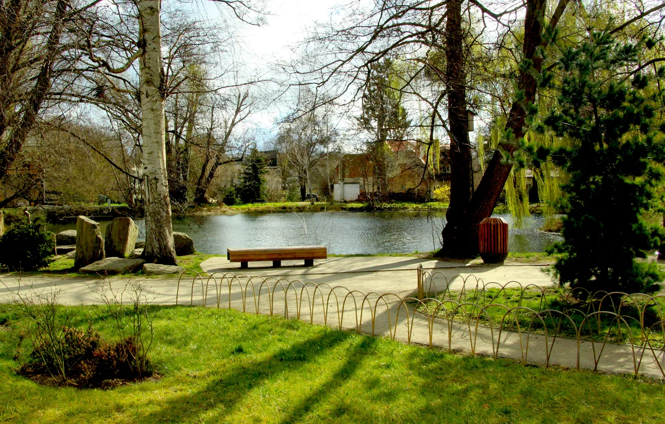 Photo wallpaper park, alley, pond