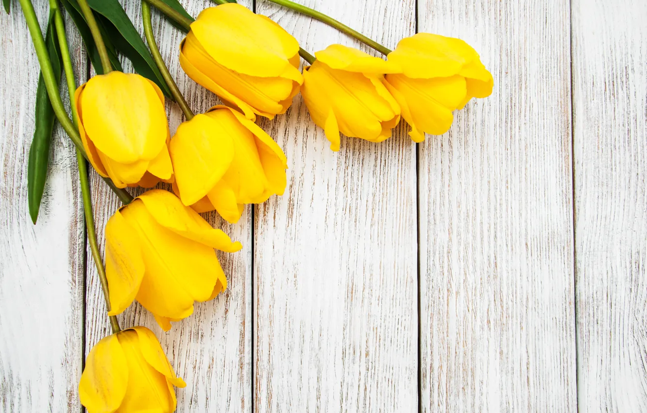 Photo wallpaper bouquet, yellow, tulips, wood, tulip, bouguet, Olena Rudo