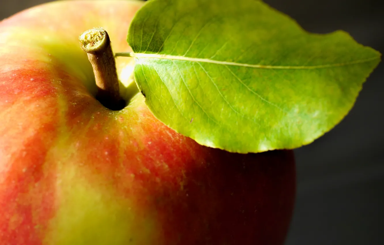 Photo wallpaper macro, apples, food, fruit