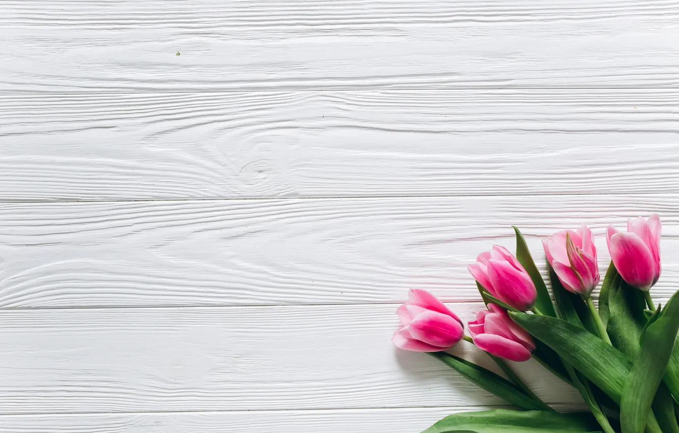 Photo wallpaper flowers, tulips, pink, fresh, wood, pink, flowers, beautiful