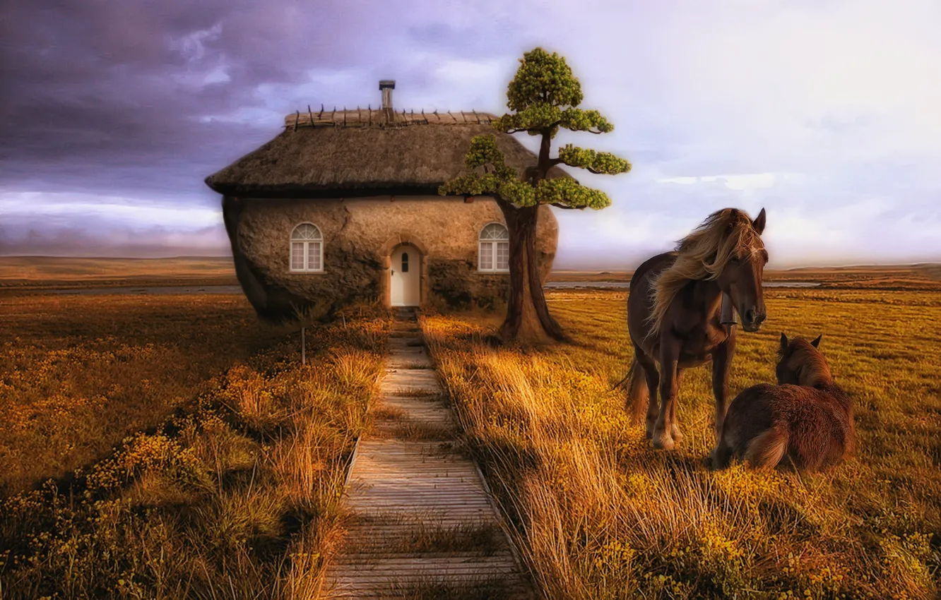 Photo wallpaper field, house, tree, horse, horse, trail