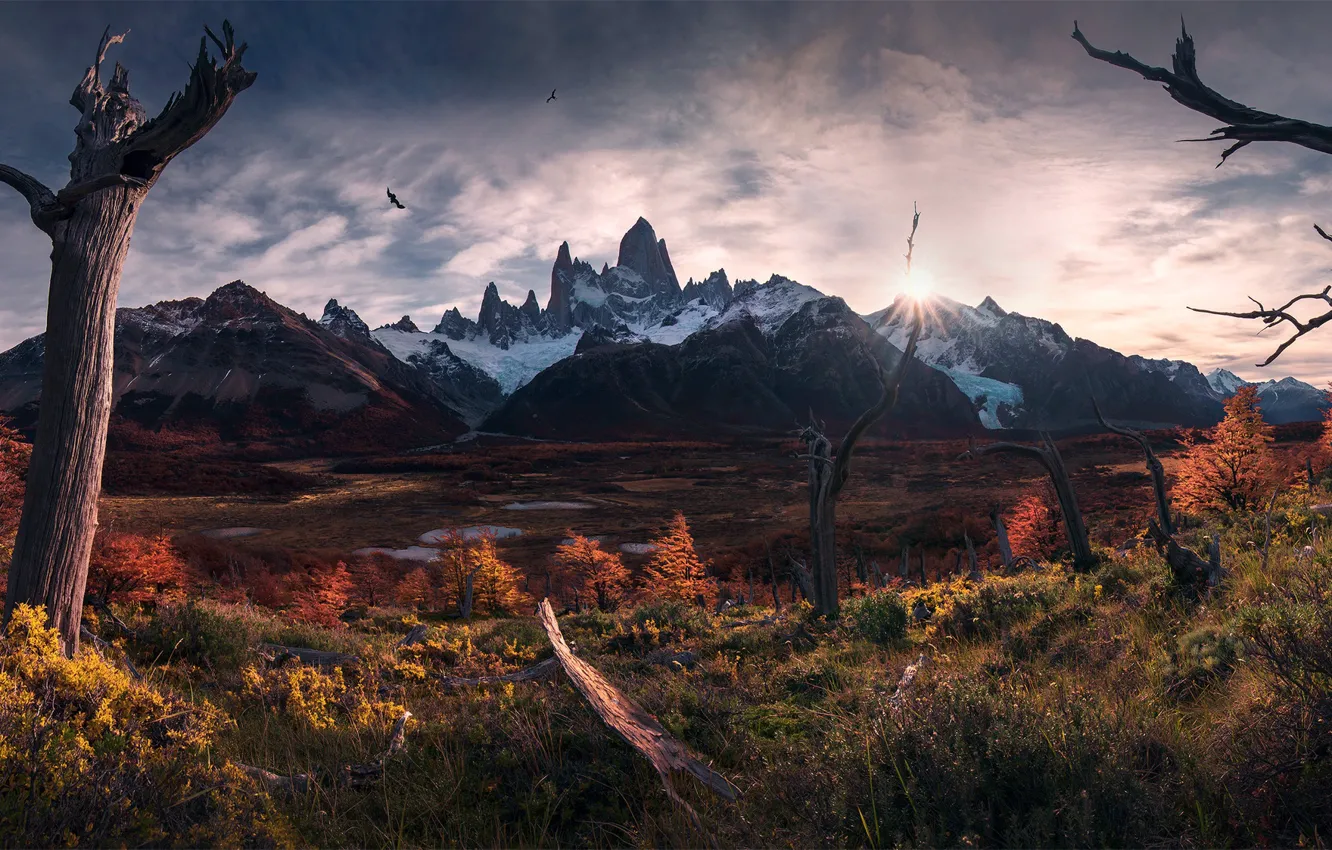 Photo wallpaper autumn, the sun, light, birds, South America, Patagonia, the Andes mountains