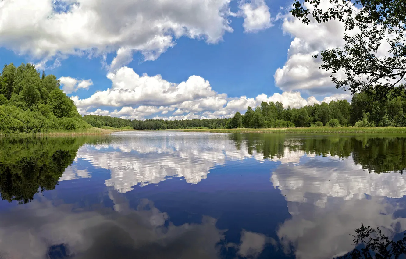 Photo wallpaper clouds, trees, lake, pond, reflection, Czech Republic, Czech Republic, Nova Bystrice