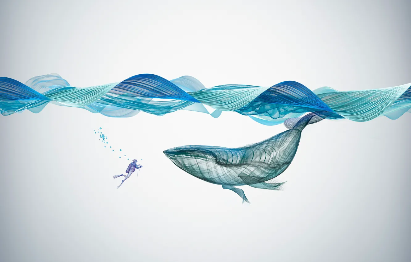 Photo wallpaper graphics, underwater, creative, Illustration, whale