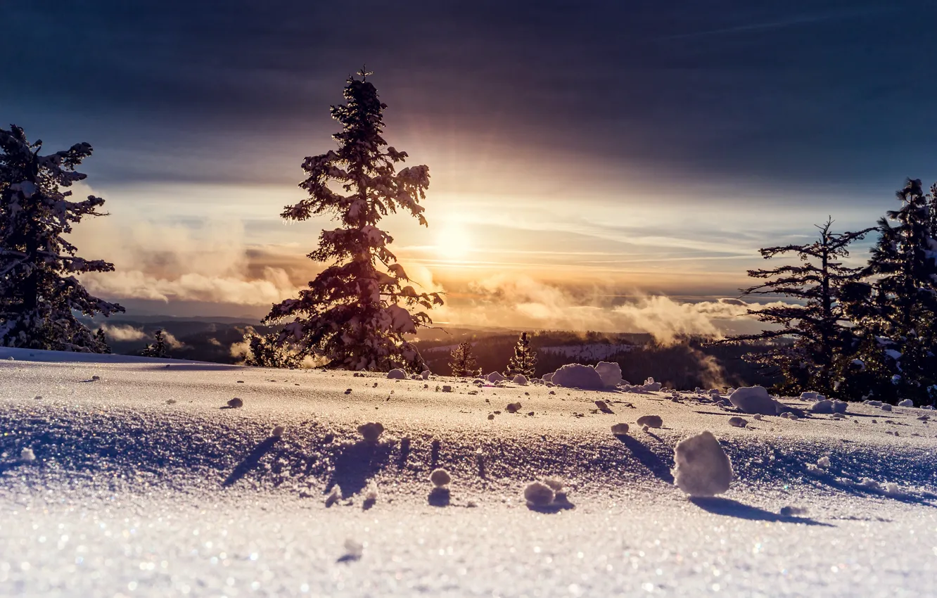 Photo wallpaper winter, the sun, snow, trees, photo, bo0xVn