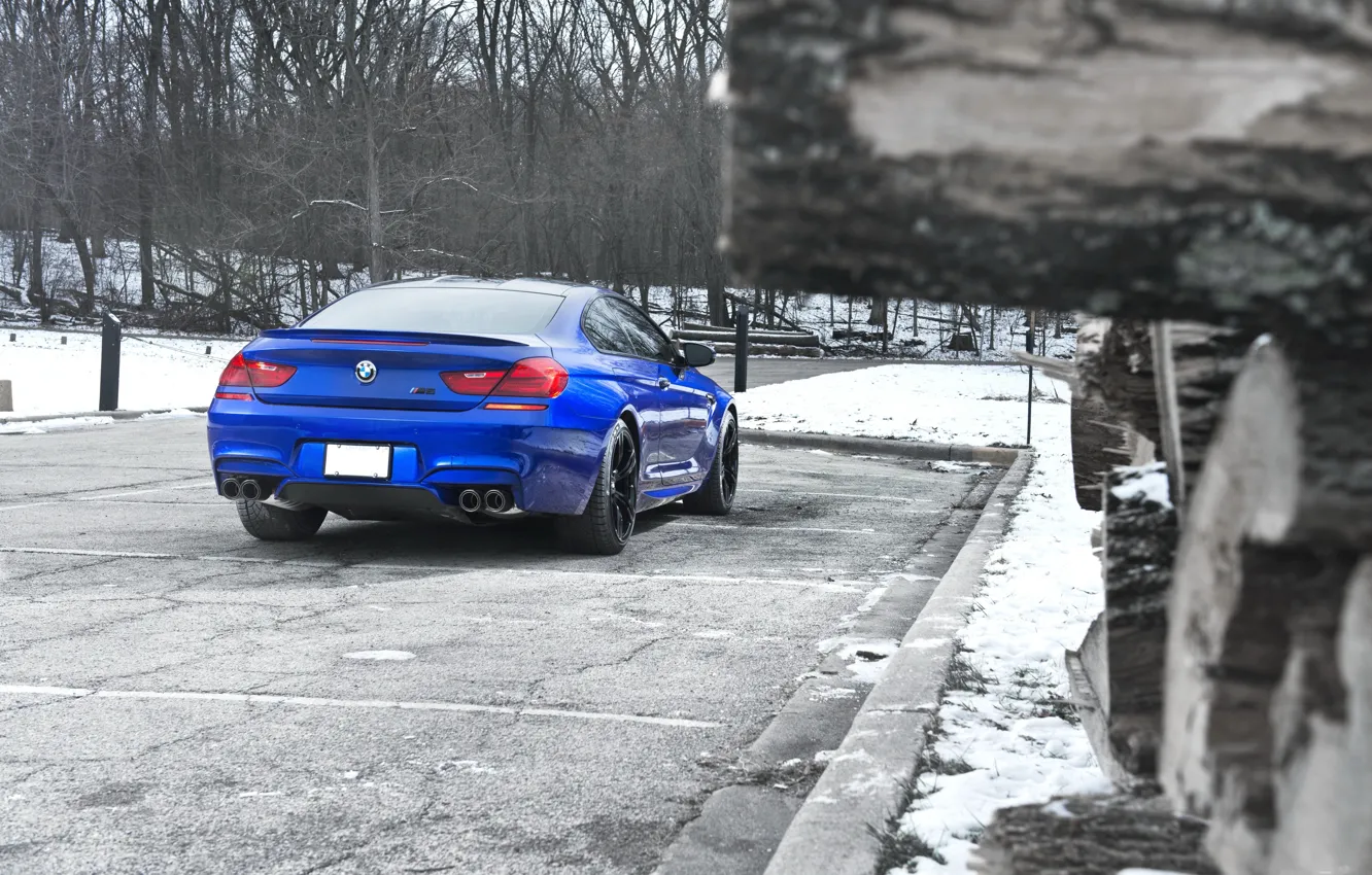 Photo wallpaper snow, trees, blue, bmw, BMW, Parking, rear view, blue