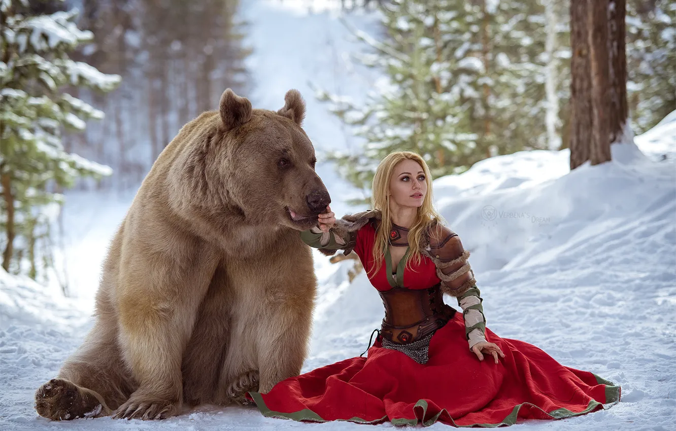 Photo wallpaper winter, forest, photo, bear, bear, Russia, Dasha