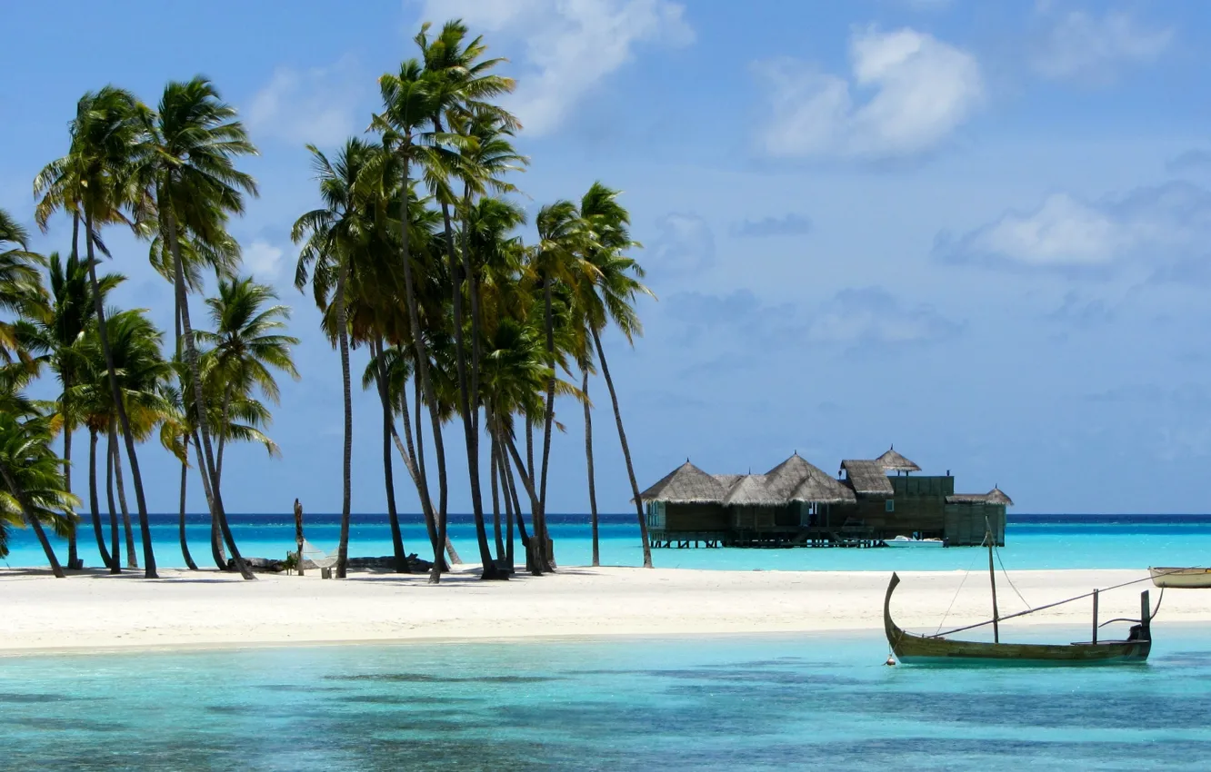 Photo wallpaper beach, palm trees, the ocean, resort, Maldives, Gili Lankanfushi