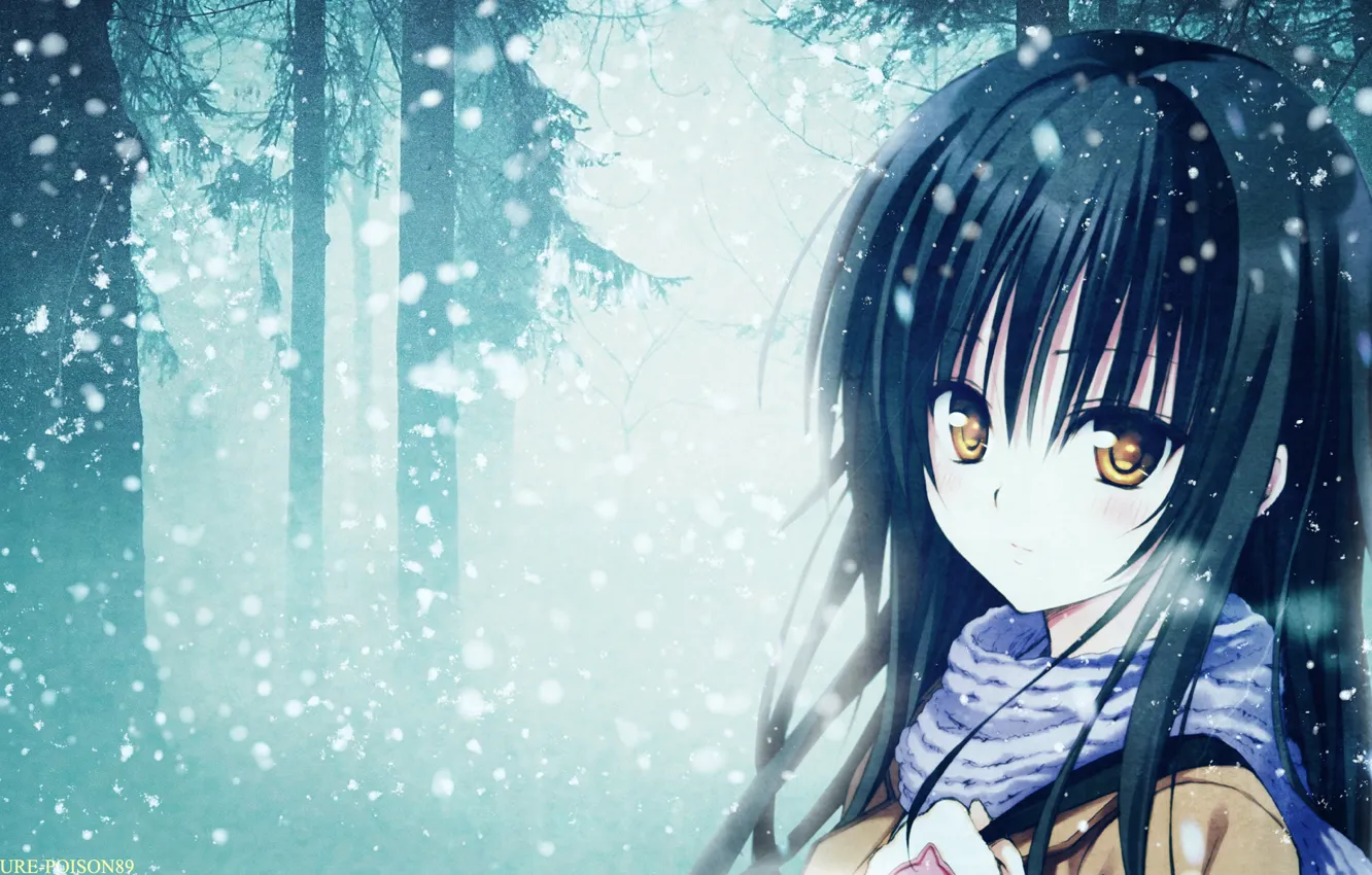 Photo wallpaper forest, snow, anime, scarf, girl, forest, snow, Kotegawa Yui
