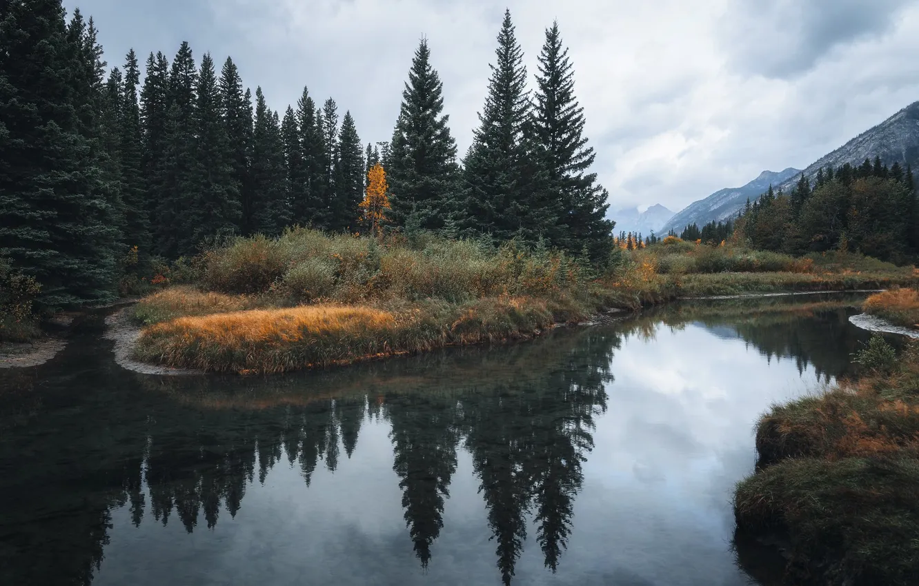 Photo wallpaper forest, mountains, river
