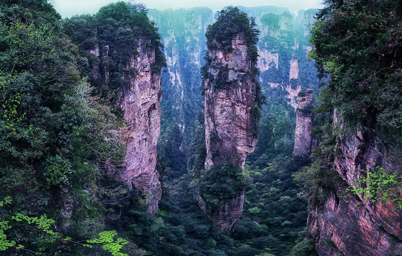 Photo wallpaper trees, mountains, nature, stones, landscape, China