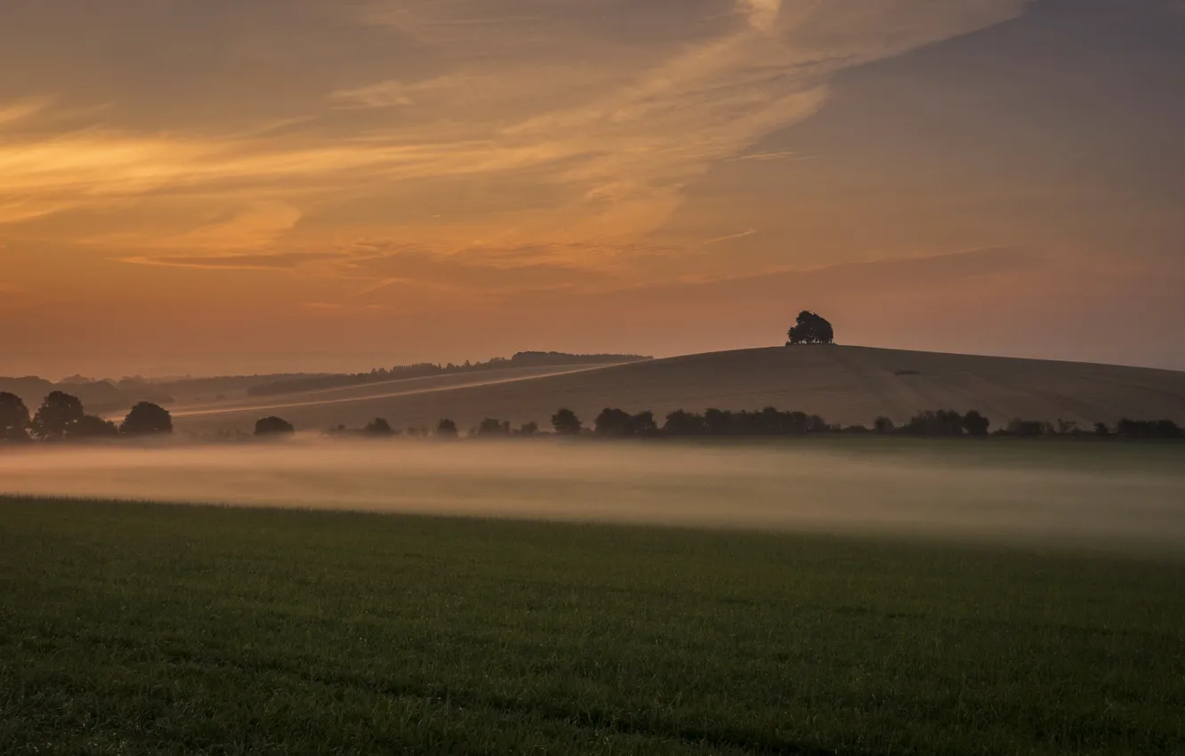 Photo wallpaper grass, trees, sunset, fog, hills, UK, grass, sunset