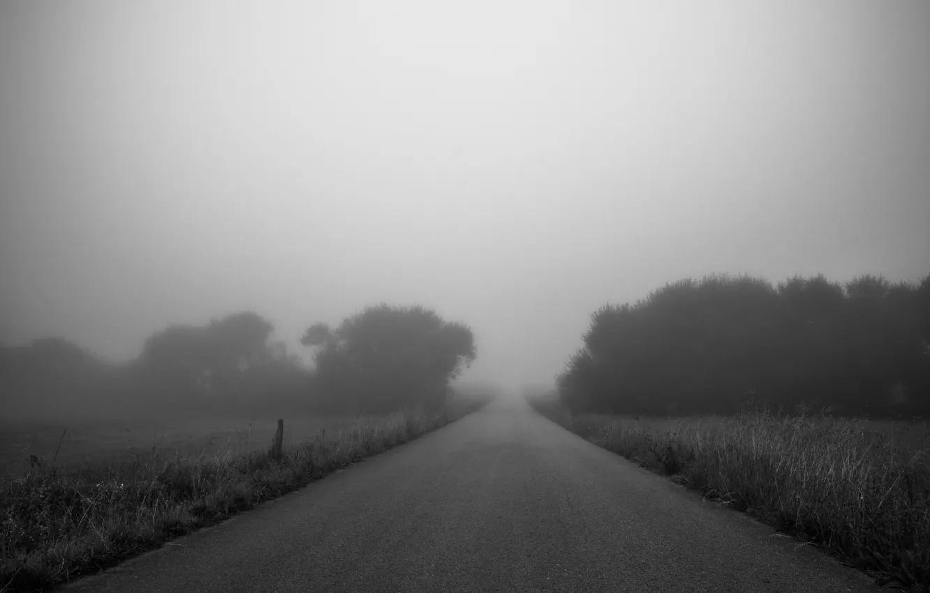 Photo wallpaper road, countryside, foggy, farmland