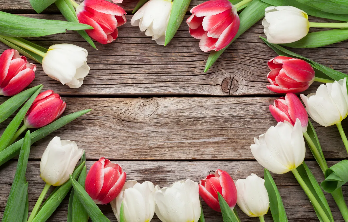 Photo wallpaper flowers, tulips, red, white, wood, flowers, tulips, spring