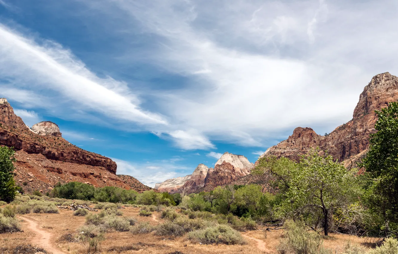 Photo wallpaper USA, cloud, park, mountain, tree, national, trail, Utah
