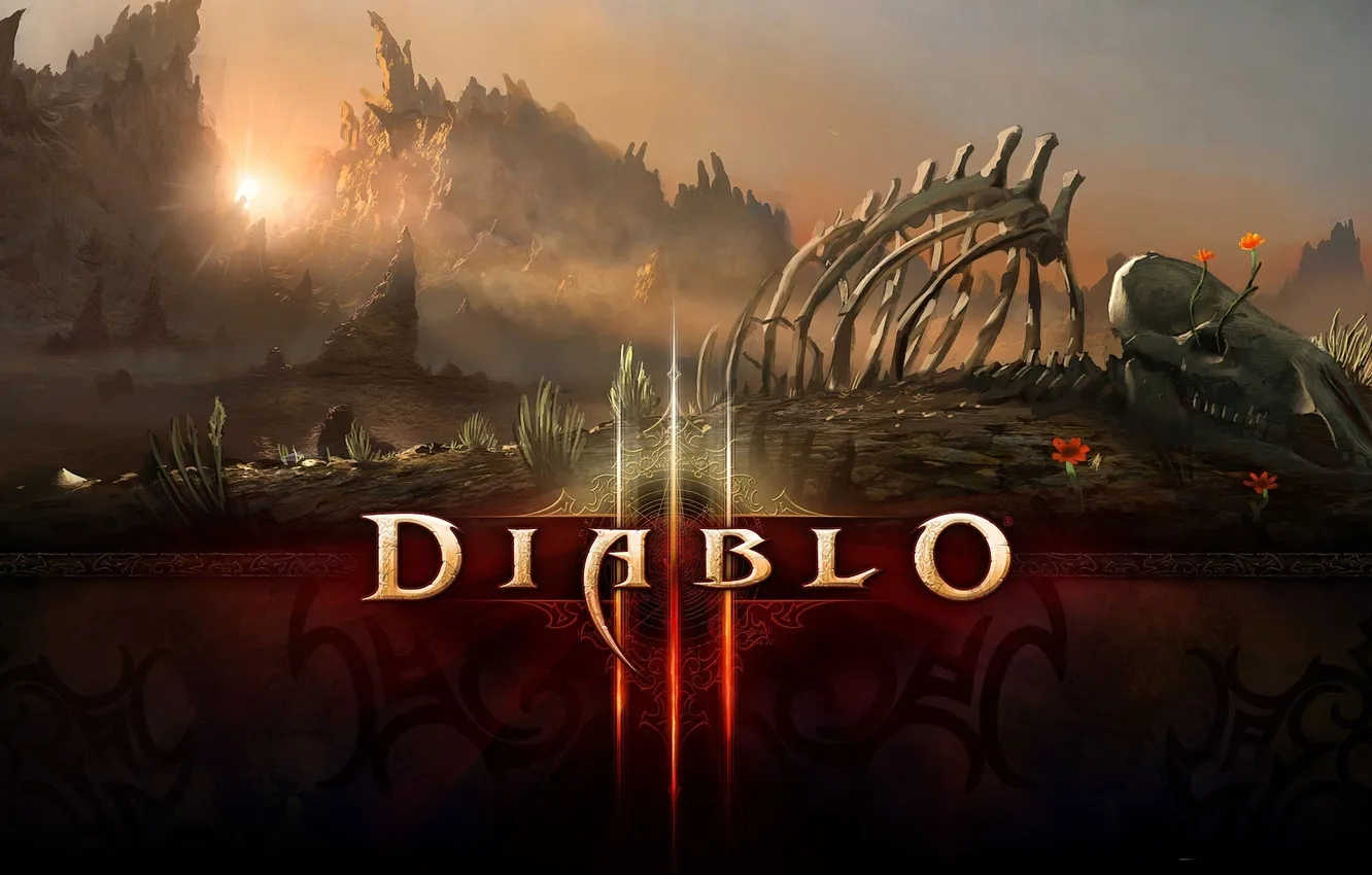 Photo wallpaper the game, diablo, strategy