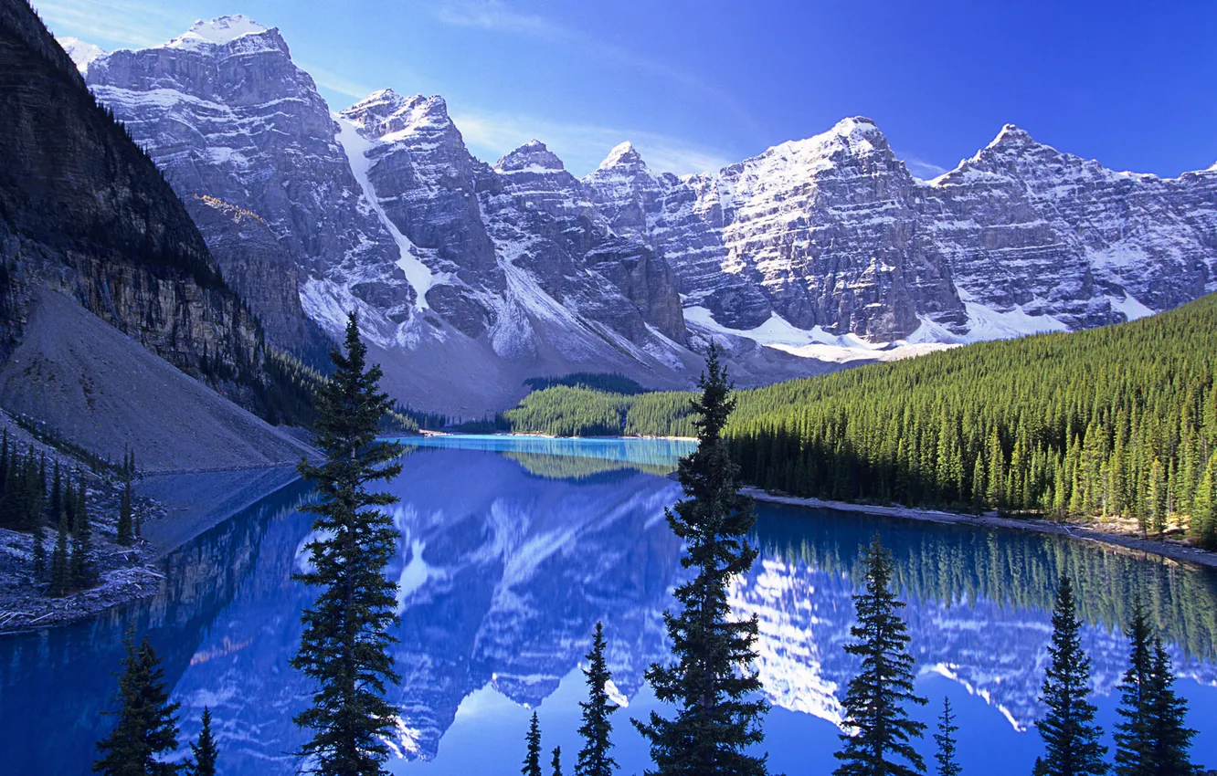 Photo wallpaper forest, mountains, lake