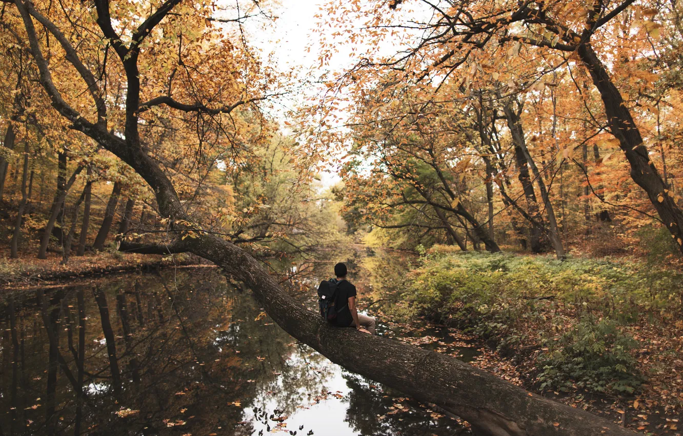 Photo wallpaper river, trees, autumn, leaves, man, reflection, mirror, foliage