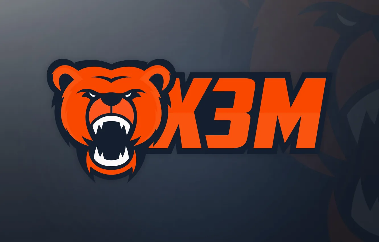 Photo wallpaper vector, logo, bear, design, Team, Sport